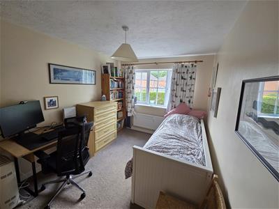 Picture 15